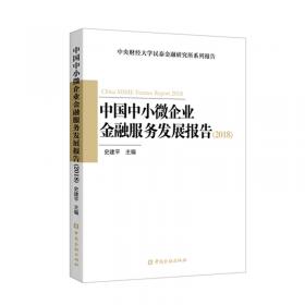 中央财经大学民泰金融研究所系列报告：中国中小企业金融服务发展报告（2010）