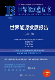 世界能源蓝皮书：世界能源发展报告（2021）