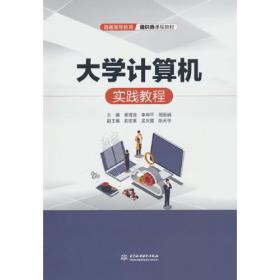 大学计算机基础上机实践教程（第六版）（）