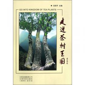 中国普洱茶文化（上、下）