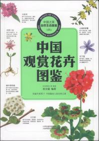 中国之美·自然生态图鉴：中国野花图鉴