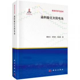 纳米与分子电子学手册