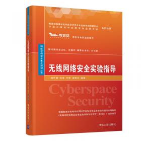 网络安全运营（网络空间安全重点规划丛书）