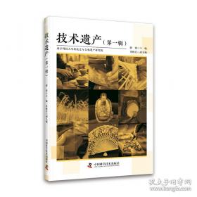 技术与时间：爱比米修斯的过失