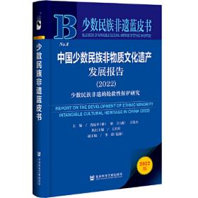 少数民族地区公共信息服务体系研究