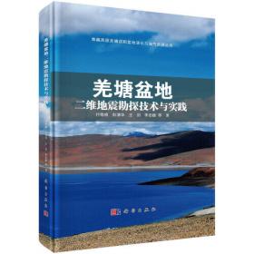 羌塘盆地石油地质特征——来自地质调查钻井的信息