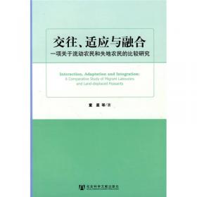中国现代化热点审视——中国现代化丛书