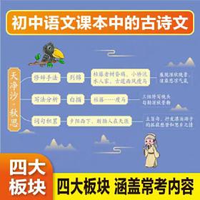 小学数学教学新论