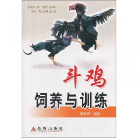 斗鸡战记/不可不读的世界动物小说经典