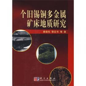 广西大厂锡矿92号矿体矿床地质与技术经济