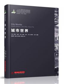 世界城镇化理论与技术译丛--中小城镇规划