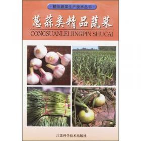 葱蒜类蔬菜周年生产技术——北方蔬菜周年生产技术丛书