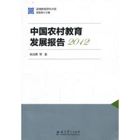 中国农村教育发展报告2010-2020
