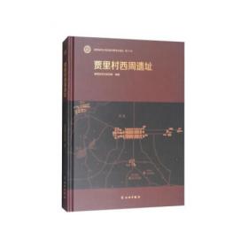 陕西省考古研究院田野考古报告 第56号：潼关税村隋代壁画墓