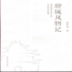 聊城统计年鉴(附光盘2020)(精)