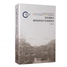 湘西南汉语方言语音研究