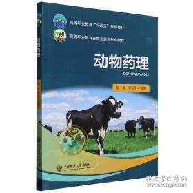 动物小说大王沈石溪·奇幻书系：英雄战象