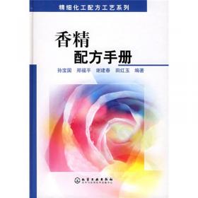 精细化工配方工艺系列：洗涤剂配方工艺手册
