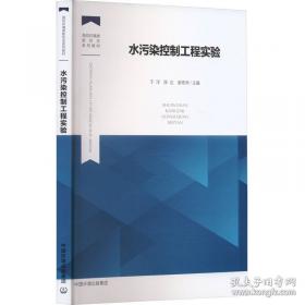 水污染物化控制原理与技术