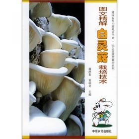 食用菌精准高效栽培技术丛书：平菇精准高效栽培技术