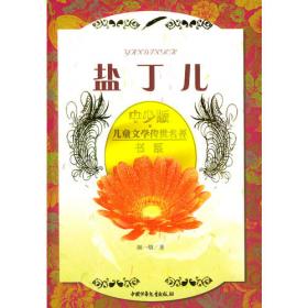百年百部中国儿童文学经典书系：盐丁儿