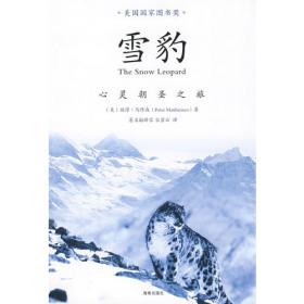 雪豹险峰的神秘洞穴（拓展版）/荒野求生少年生存小说系列