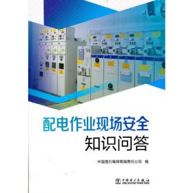 高压直流输电系统继电保护原理与技术