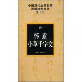 中国历代法书名碑原版放大折页之23：柳公权玄秘塔碑
