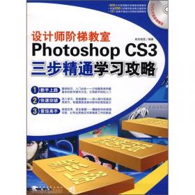 Photoshop CS3七大难点技能特训精解