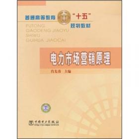 普通高等教育“十一五”国家级规划教材 电力技术经济原理