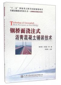 交通运输建设科技丛书·公路基础设施建设与养护：西藏扎木至墨脱公路建设关键技术