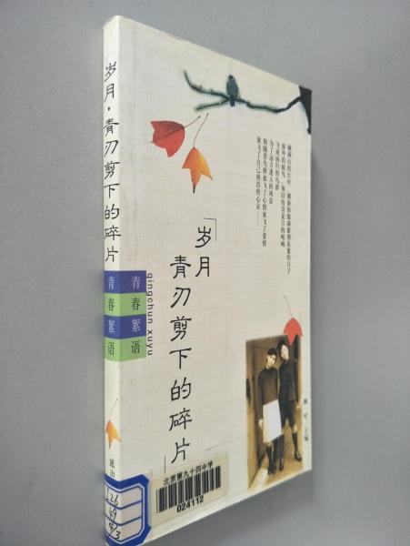 歲月青刃剪下的碎片