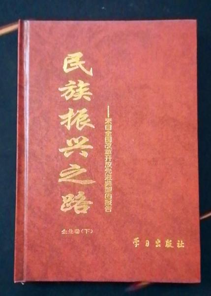 民族振兴之路:来自全国改革开放先进典型的报告.企业卷.下