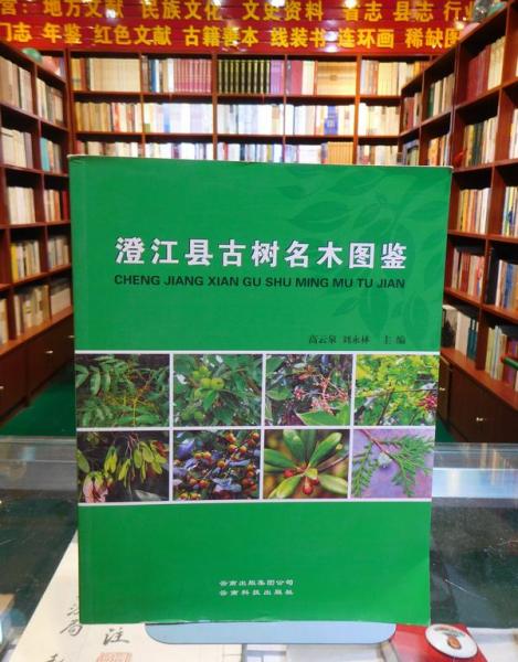 澄江縣古樹名木圖鑒