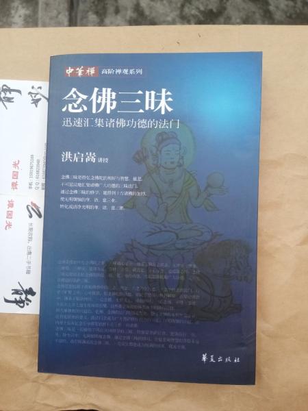 念佛三昧：迅速汇集诸佛功德的法门：高阶禅观系列