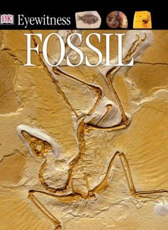 DK Eyewitness Books: Fossil DK化石大百科全書