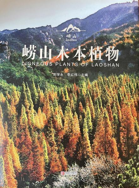 嶗山木本植物