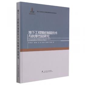 喷锚支护模型试验研究(精)/岩土工程地质力学模型试验理论与实践丛书