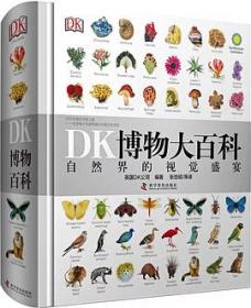 DK儿童艺术百科全书 